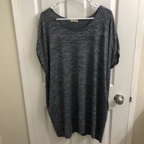 Aritzia Wilfred Free Dress with Pockets